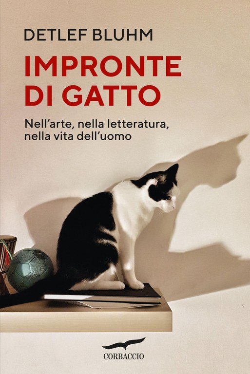 Impronte di gatto